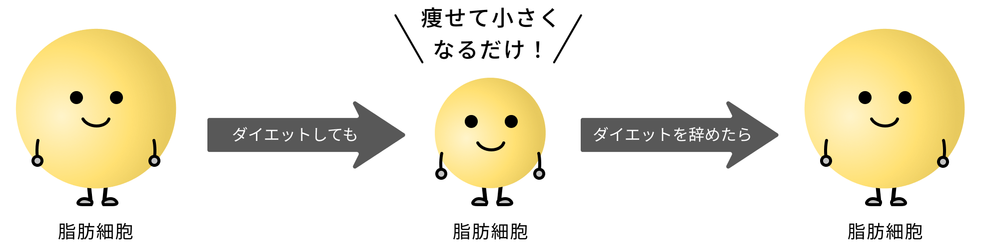 ダイエットしても、痩せて小さくなるだけで、ダイエットを辞めたら元に戻ってしまいます